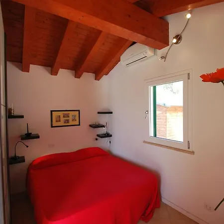 Ciclamino * Casa Alzi